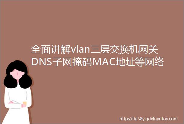 全面讲解vlan三层交换机网关DNS子网掩码MAC地址等网络知识
