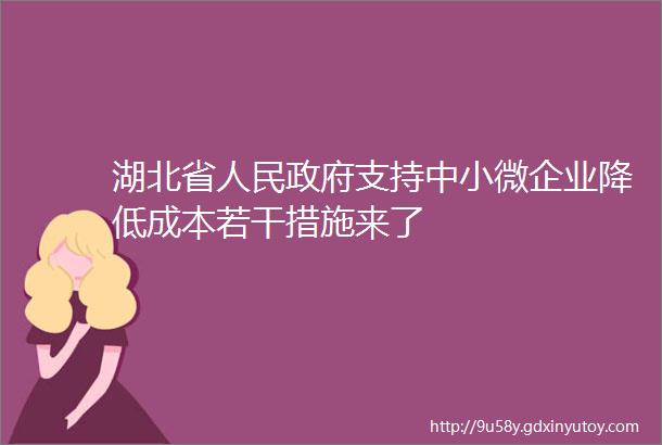 湖北省人民政府支持中小微企业降低成本若干措施来了