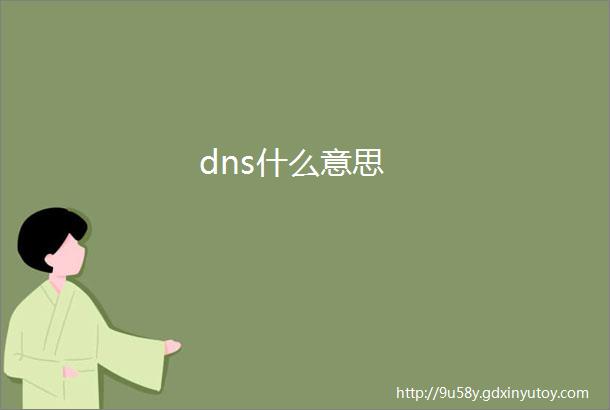 dns什么意思