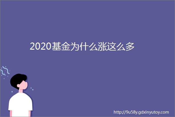 2020基金为什么涨这么多