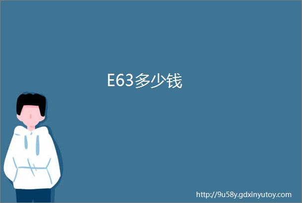 E63多少钱