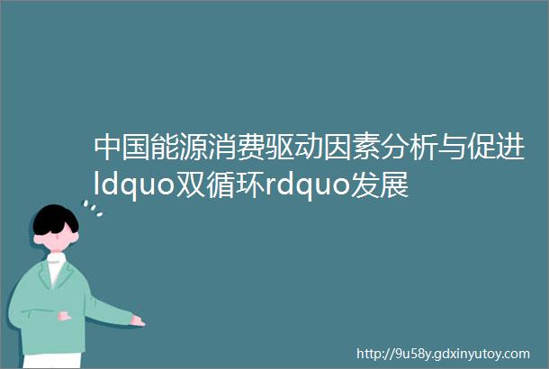 中国能源消费驱动因素分析与促进ldquo双循环rdquo发展的启示